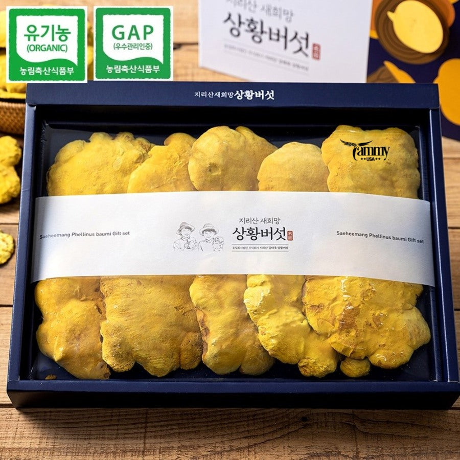 NẤM THƯỢNG HOÀNG ORGANIC (300GR)