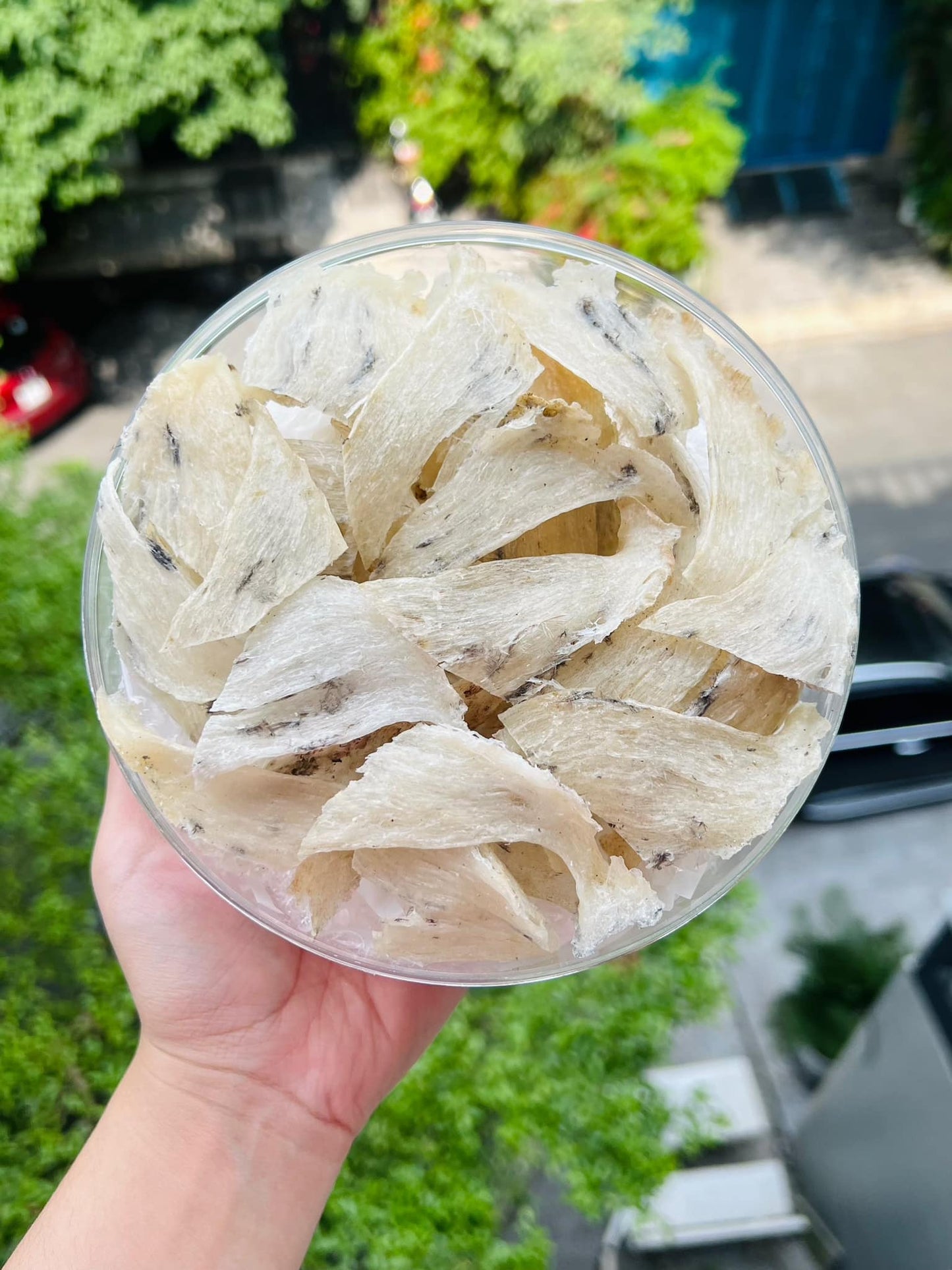 CHรN YแบพN THร 100GR