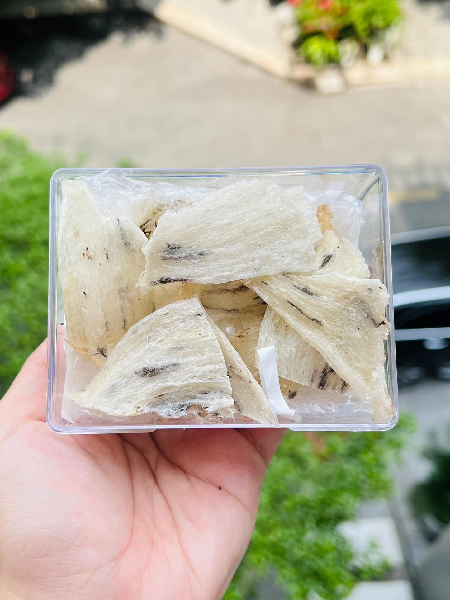 CHรN YแบพN THร 100GR