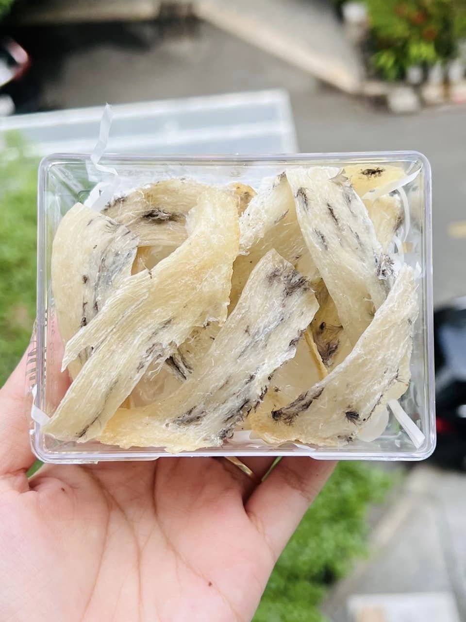 CHรN YแบพN THร 100GR
