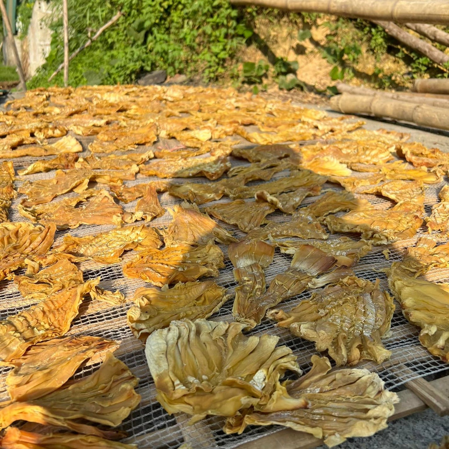 Măng Rừng khô (dried bamboo shoot