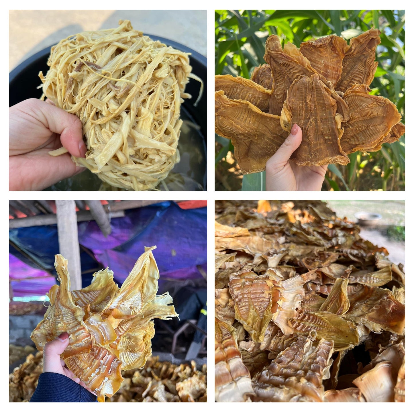 Măng Rừng khô (dried bamboo shoot
