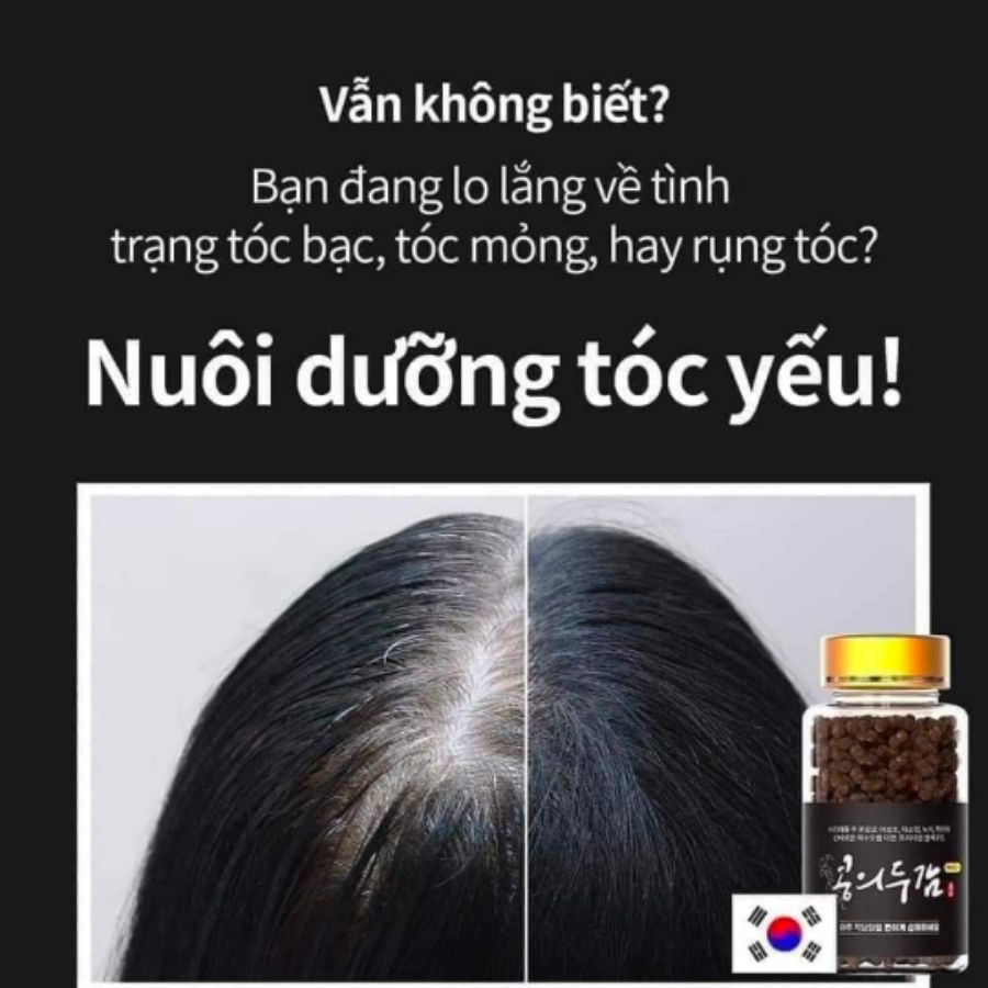 ROOTONIX Black bean Supplement HASUO KOREA  (HÀ THỦ Ô)