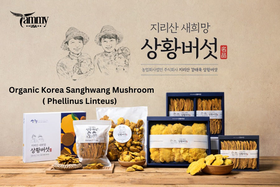 NẤM THƯỢNG HOÀNG ORGANIC (300GR)