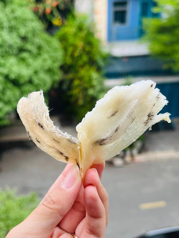 CHÂN YẾN THÔ 100GR