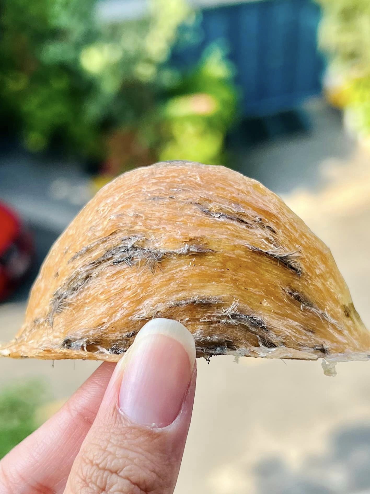 Hong yen 100GR